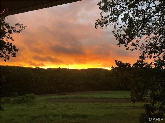 4101 Juedeman Rd, Mo, MO 65453 - view of nature at dusk