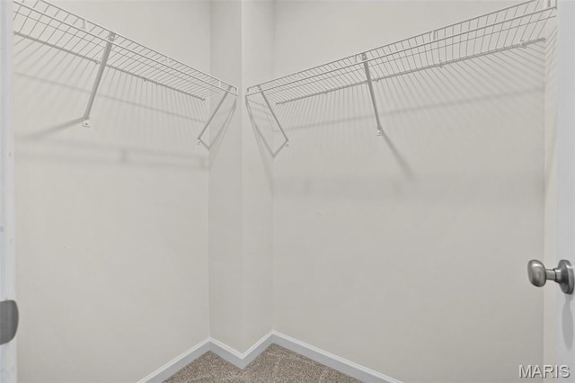 walk in closet featuring carpet flooring