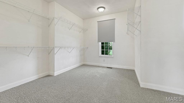 9108 Wiltshire Dr, Columbia, IL 62236 - walk in closet featuring carpet