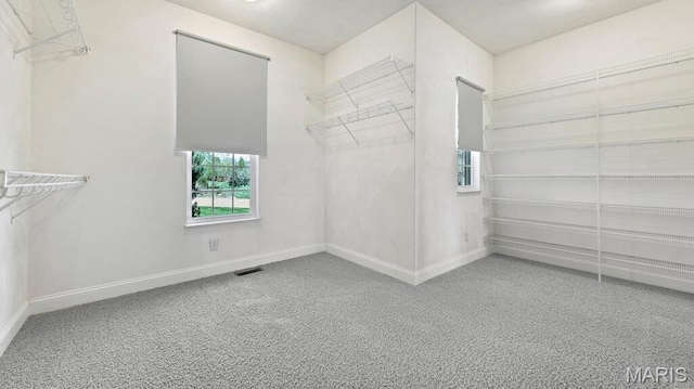 9108 Wiltshire Dr, Columbia, IL 62236 - spacious closet with carpet floors