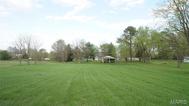 view of green lawn