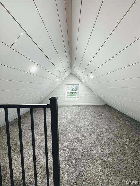 120 W Caldwell, La Plata, MO 63549 - bonus room featuring carpet floors and lofted ceiling