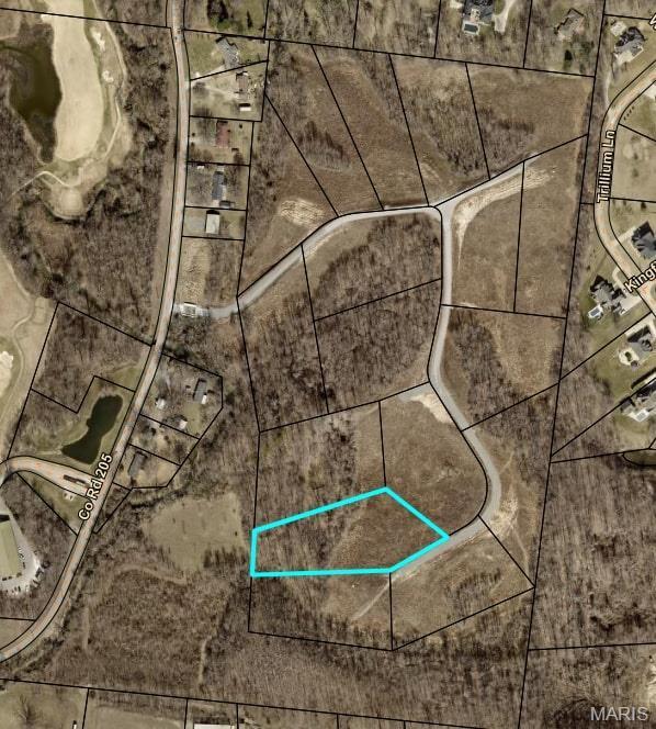12 County Road 205, Cape Girardeau, MO 63701 - photo 1