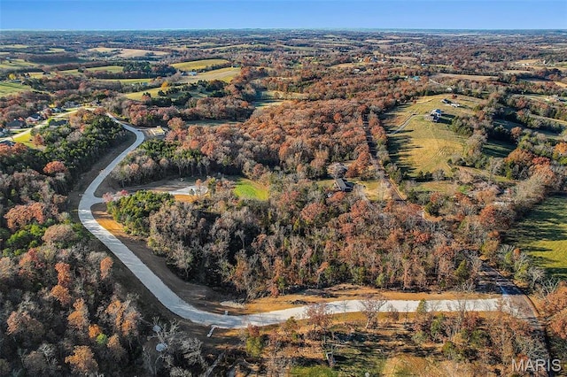 163 Scarlet Oak Loop, Villa Ridge, MO 63089