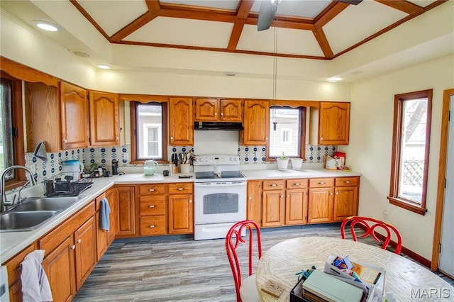225 Tunison, White Hall, IL 62092 - kitchen featuring electric range, a sink, under cabinet range hood, brown cabinets, and high vaulted ceiling