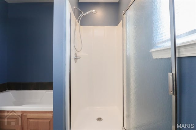 23332 Righteous Ln, Waynesville, MO 65583 - bathroom with a shower stall and a bath