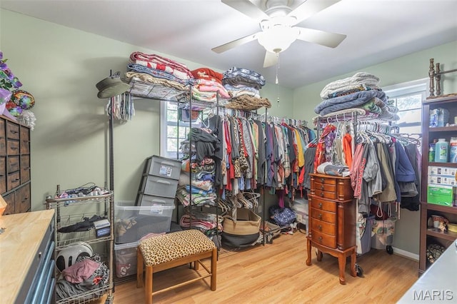 spacious closet with wood finished floors and ceiling fan