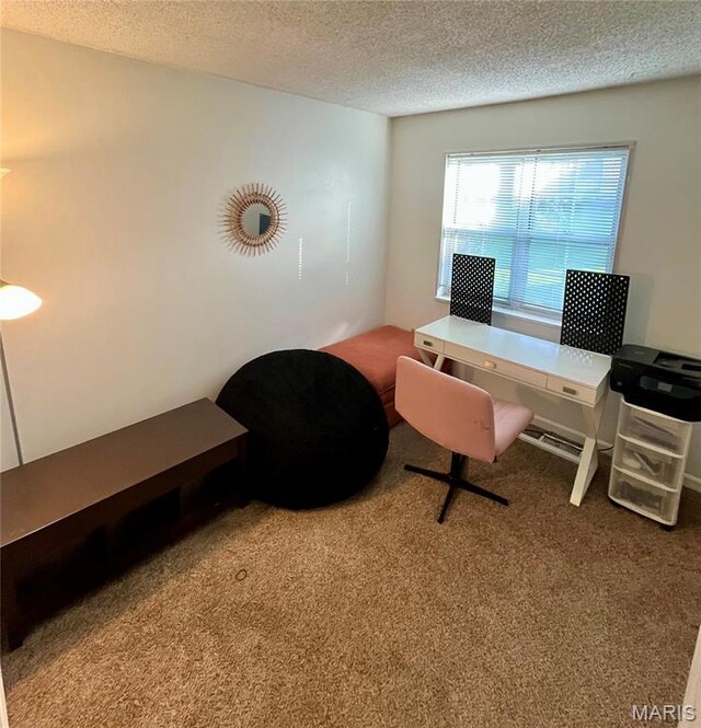 1504 Swallow Dr, Saint Louis, MO 63144 - office area with carpet flooring and a textured ceiling