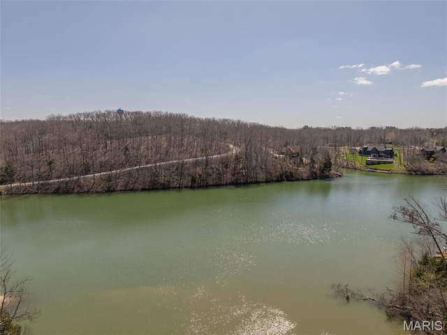 370 Alpine Bend Dr, Wright City, MO 63390 - water view with a forest