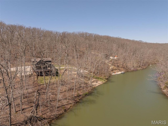 370 Alpine Bend Dr, Wright City, MO 63390 - view of property location featuring a nearby body of water and a forest