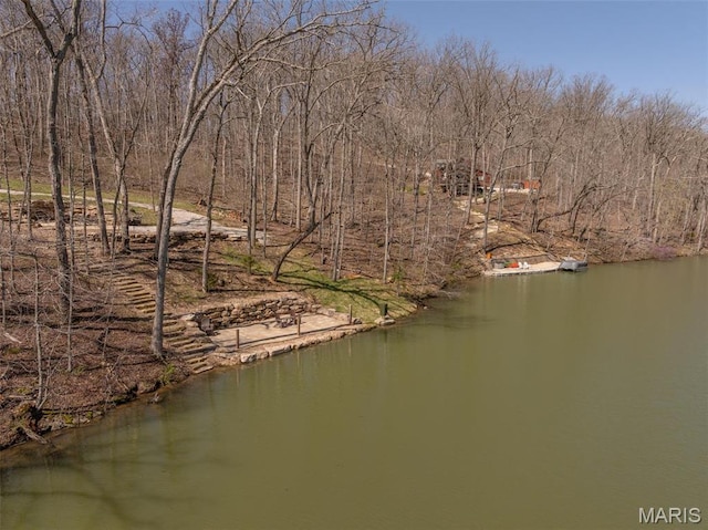 370 Alpine Bend Dr, Wright City, MO 63390 - water view
