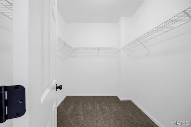 407 Forby Estates Dr, Eureka, MO 63025 - walk in closet with carpet flooring