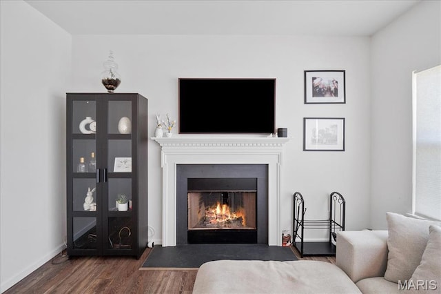 145 Pampano Ln, Saint Charles, MO 63301 - living area featuring dark wood-type flooring, a fireplace with flush hearth, and baseboards