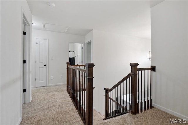 145 Pampano Ln, Saint Charles, MO 63301 - hallway featuring an upstairs landing, carpet floors, and attic access