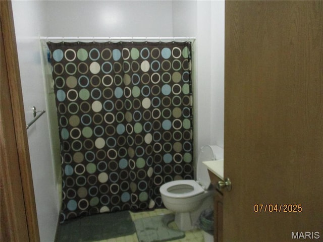 1653 Lakeshore Dr, Cuba, MO 65453 - bathroom with toilet, a shower with shower curtain, and vanity