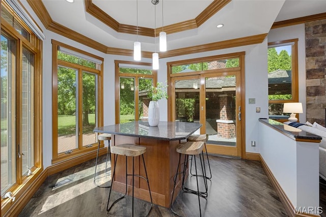 10711 Kennerly Rd, Saint Louis, MO 63128 - dining room featuring crown molding, french doors, a tray ceiling, baseboards, and dark wood-style flooring