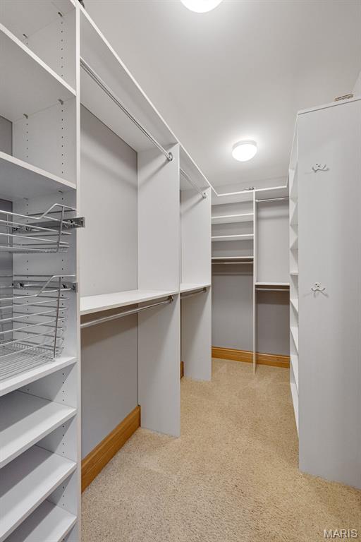 10711 Kennerly Rd, Saint Louis, MO 63128 - walk in closet with carpet floors