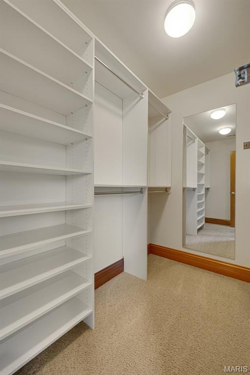 10711 Kennerly Rd, Saint Louis, MO 63128 - view of spacious closet