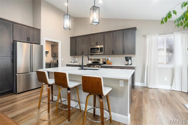1027 Watering Stone Ct, Pevely, MO 63070 - kitchen featuring stainless steel appliances, dark brown cabinets, a sink, light countertops, and high vaulted ceiling