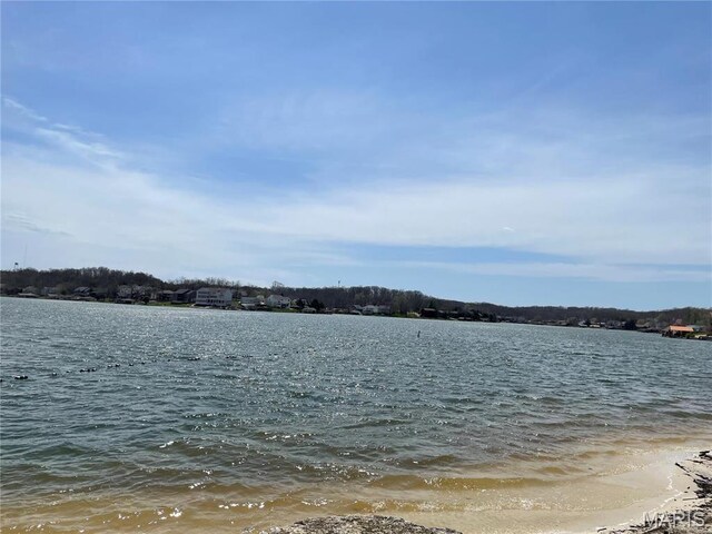 9352 Pea Ridge Dr, Hillsboro, MO 63050 - photo 4