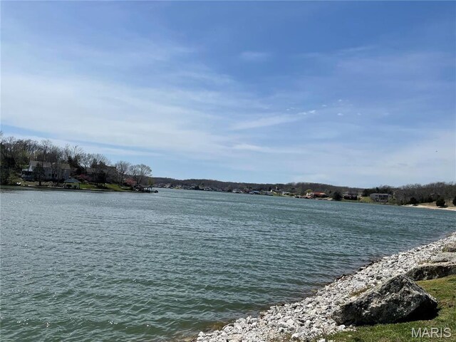 9352 Pea Ridge Dr, Hillsboro, MO 63050 - photo 5