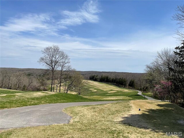9352 Pea Ridge Dr, Hillsboro, MO 63050 - photo 6