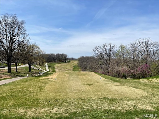 9352 Pea Ridge Dr, Hillsboro, MO 63050 - photo 7