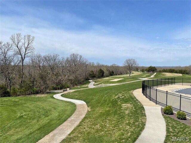 9352 Pea Ridge Dr, Hillsboro, MO 63050 - photo 9