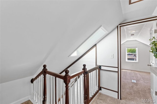 additional living space featuring vaulted ceiling, carpet flooring, baseboards, and a skylight
