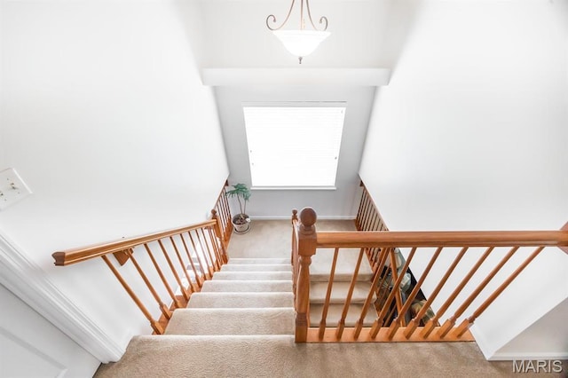 staircase with carpet floors