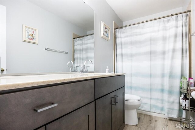 bathroom with wood finished floors, toilet, and vanity