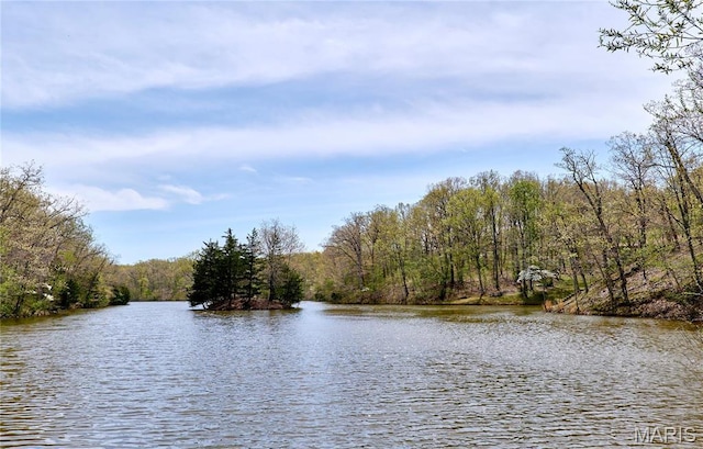 26168 Ridgetrail Dr, Warrenton, MO 63383 - water view featuring a heavily wooded area