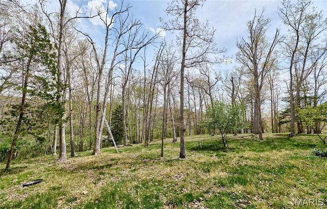 26168 Ridgetrail Dr, Warrenton, MO 63383 - view of yard