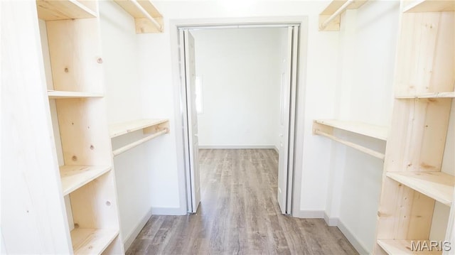 spacious closet featuring light wood-type flooring