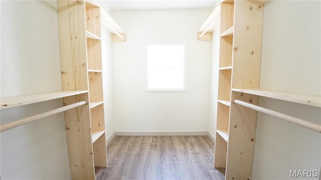 spacious closet featuring wood finished floors