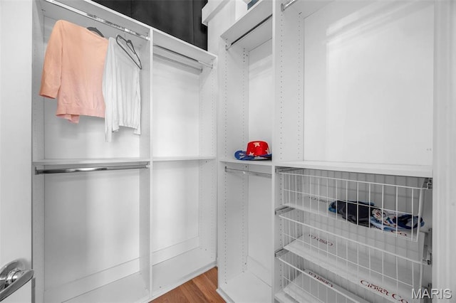 spacious closet featuring wood finished floors