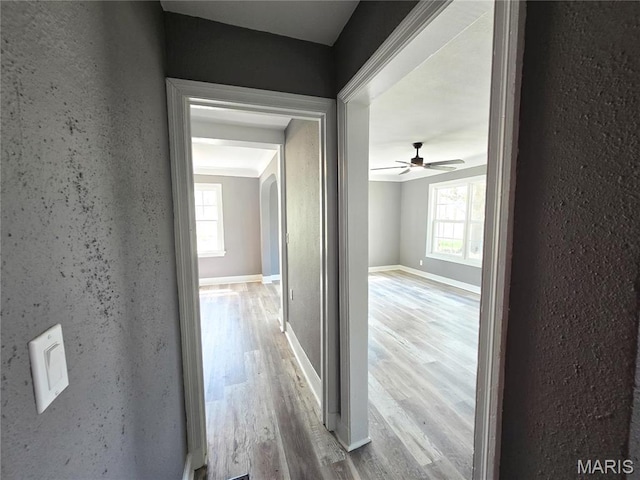 corridor with healthy amount of natural light, wood finished floors, and baseboards