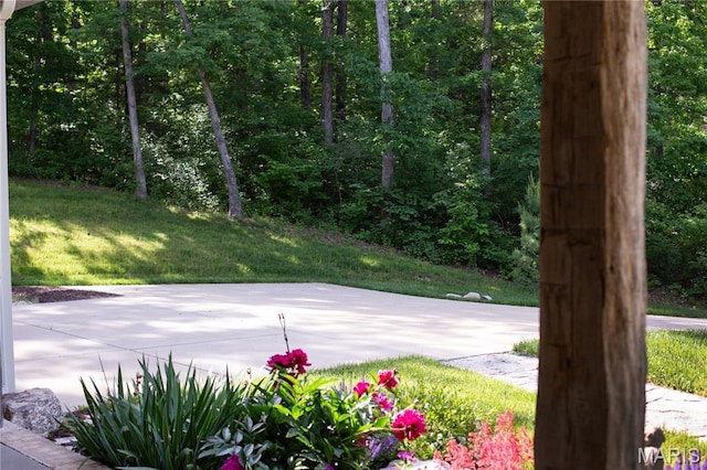 3 Inland Ct, Wright City, MO 63390 - view of patio
