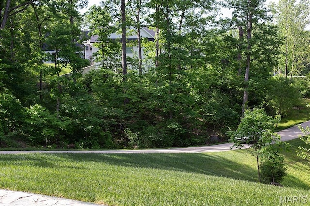 3 Inland Ct, Wright City, MO 63390 - view of community with a yard