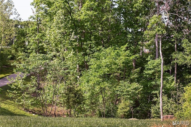 3 Inland Ct, Wright City, MO 63390 - view of woods