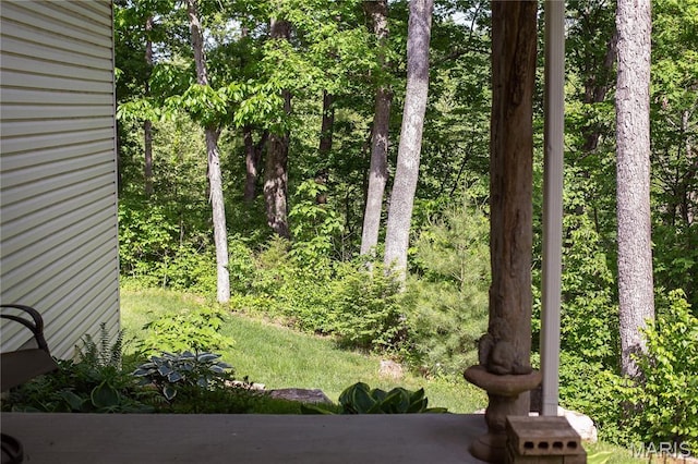 3 Inland Ct, Wright City, MO 63390 - view of yard with a view of trees