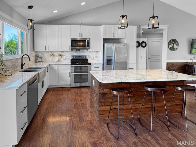 641 Ponderosa Trl, Beaufort, MO 63013 - kitchen featuring stainless steel appliances, lofted ceiling, a sink, dark wood finished floors, and a kitchen island