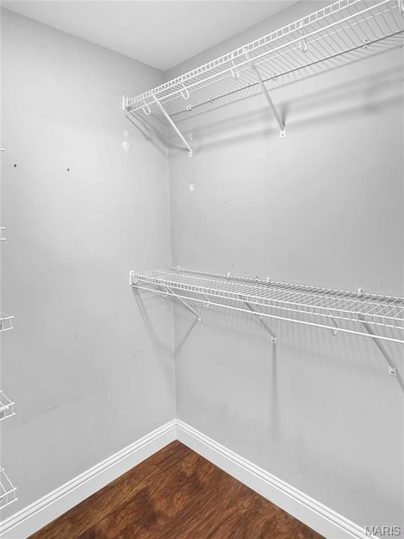 641 Ponderosa Trl, Beaufort, MO 63013 - walk in closet with wood finished floors