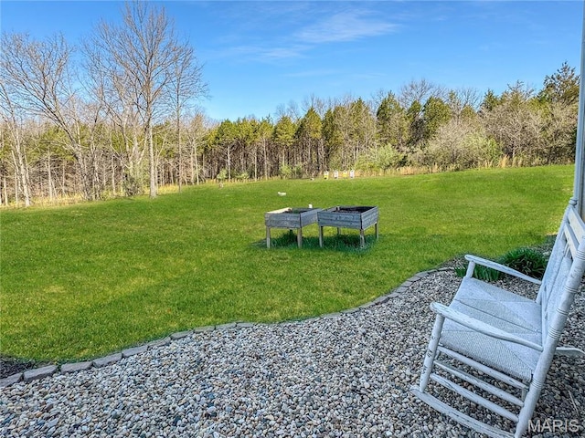 641 Ponderosa Trl, Beaufort, MO 63013 - view of grassy yard featuring a forest view