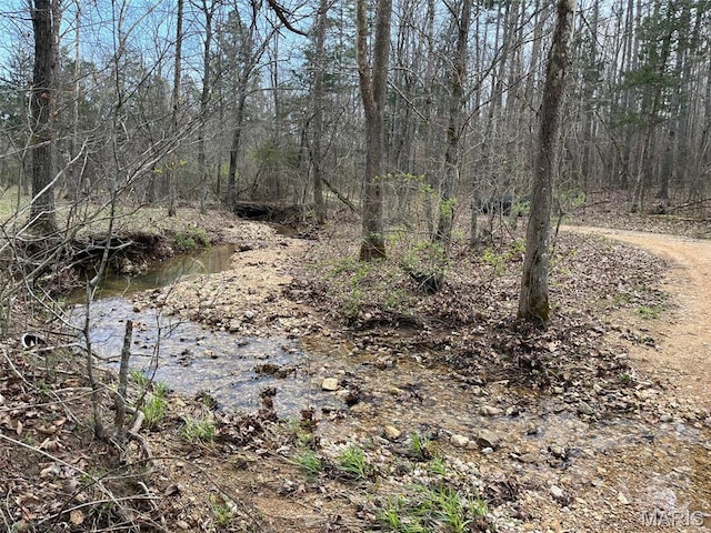 10303 Woodberry Rd, Potosi, MO 63664 - view of local wilderness