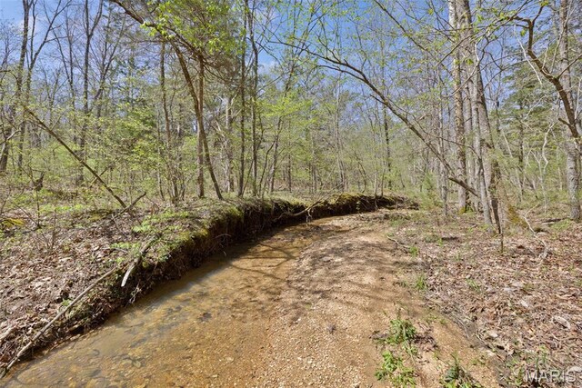 10303 Woodberry Rd, Potosi, MO 63664 - view of local wilderness