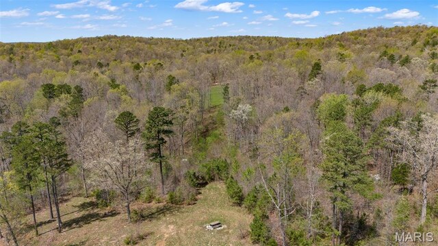 10303 Woodberry Rd, Potosi, MO 63664 - view of woods