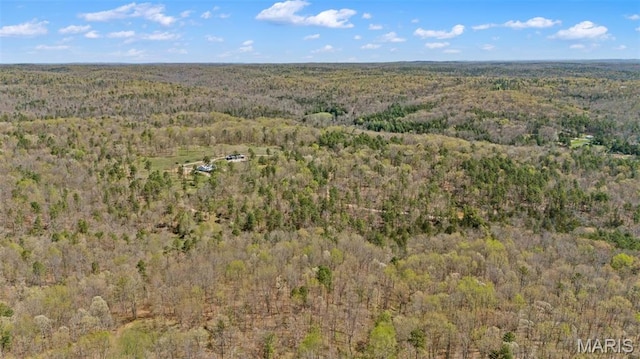 10303 Woodberry Rd, Potosi, MO 63664 - aerial view of property's location with a heavily wooded area