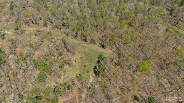 10303 Woodberry Rd, Potosi, MO 63664 - aerial view of property and surrounding area