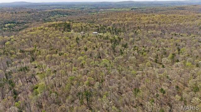 10303 Woodberry Rd, Potosi, MO 63664 - aerial view of property's location featuring a forest